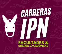 Consulta Los Aciertos Por Carreras IPN | Lista De Puntaje De Carreras IPN