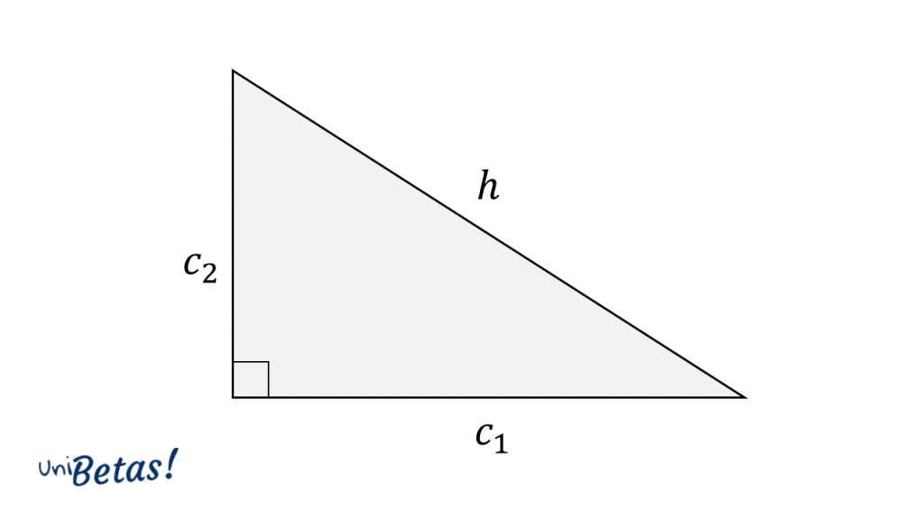 en un día festivo pompa cascada Teorema de Pitágoras: fórmulas, ejemplos y ejercicios resueltos