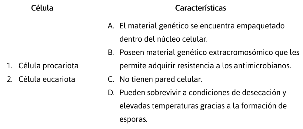 CSyA-Reactivo-5