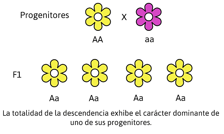 CMB-BIOLOGÍA-VERSIÓN-2-IPN-