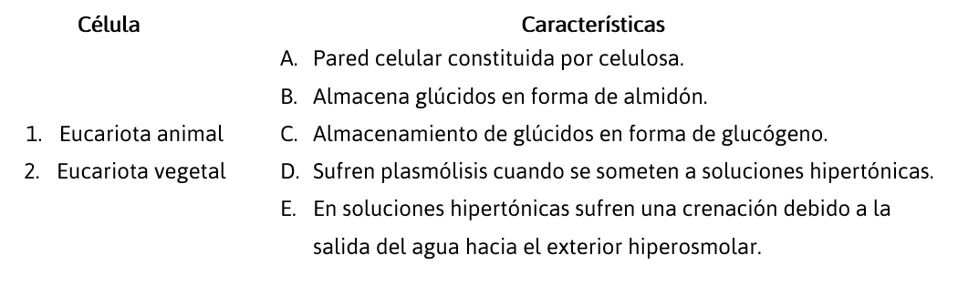 CSyA-SIMULADOR-BIOLOGÍA-VERSIÓN-2