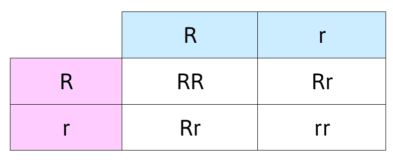 SIMULADOR-CSYA-BIOLOGÍA-3-IPN-