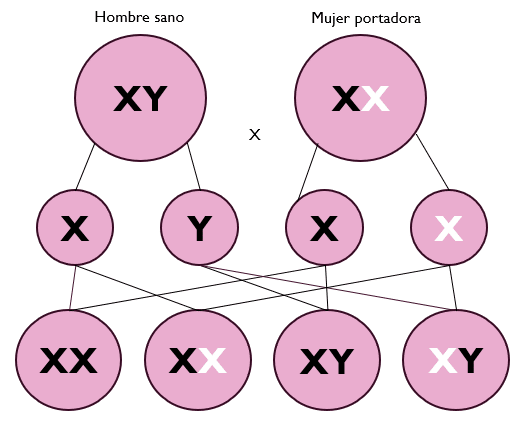 SIMULADOR-CSYA-BIOLOGÍA-4-IPN--