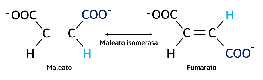 SIMULADOR-CSYA-BIOLOGÍA-4-IPN