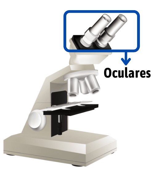 OCULARES-MICROSCOPIO