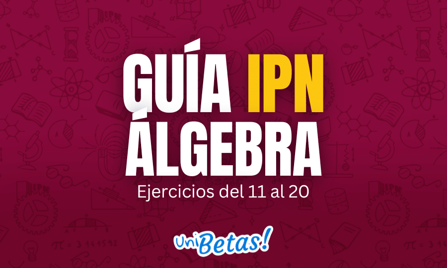 GUÍA ipn Álgebra Ejercicios del 11 al 20