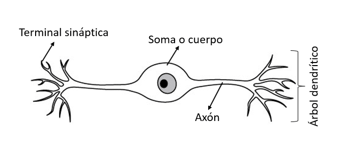 32-GUÍA-DE-ESTUDIO-IPN-2023-BIOLOGÍA-CMB