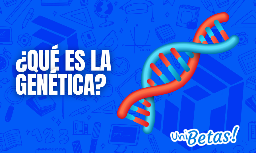 ¿Qué es la genética Herencia, Leyes de Mendel y ADN