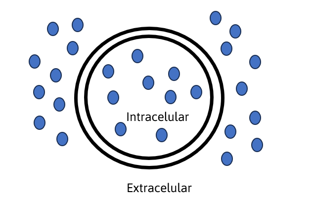 13-GUÍA-INTERACTIVA-EXANI-PREMEDICINA