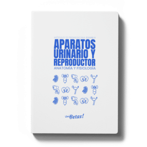 Aparatos urinario y reproductor Unibetas Exani II