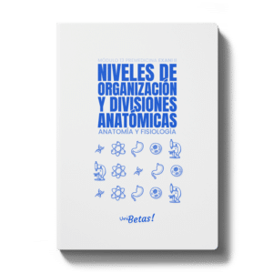 Niveles de organizacion y divisiones anatomicas Unibetas Exani II