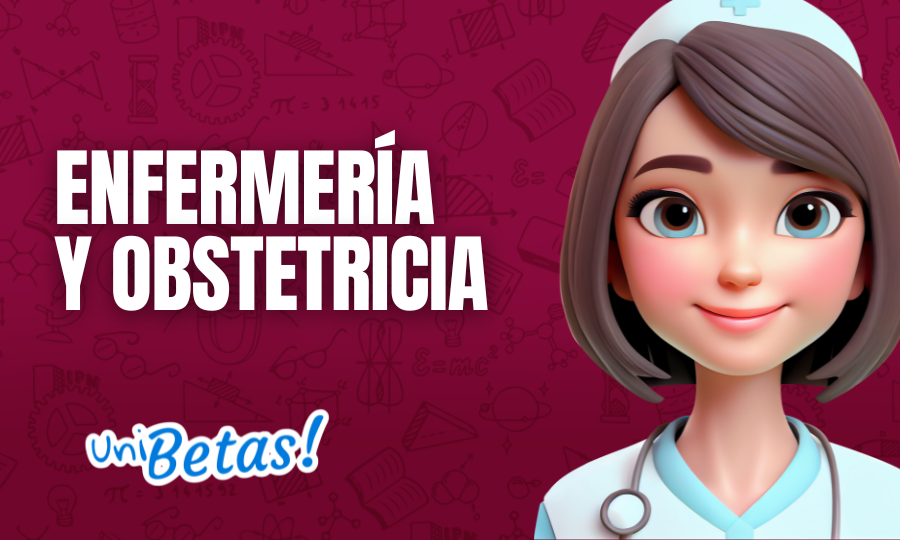 Enfermería y obstetricia ipn plan de estudios