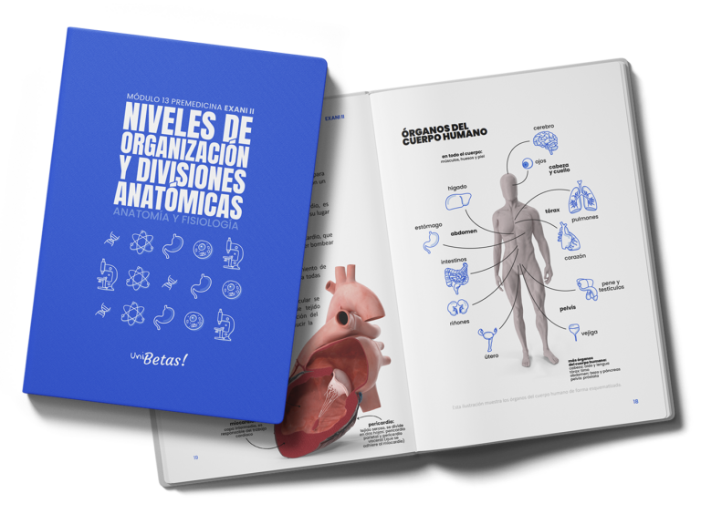 Ebook exani ii niveles de organizacion y divisiones anatomicas unibetas