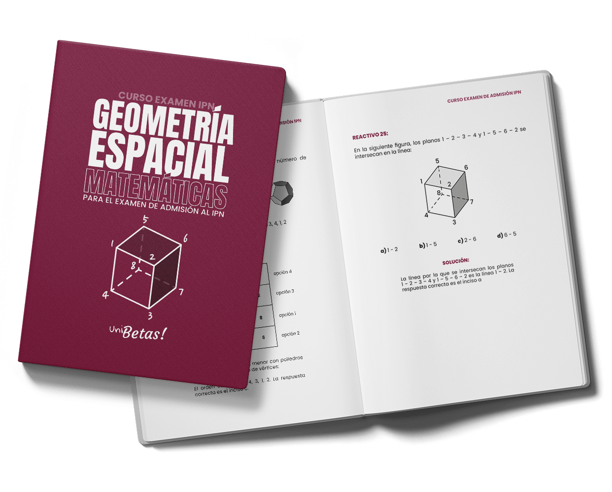 IPN Geometria Espacial Matematicas 25 reactivos 1