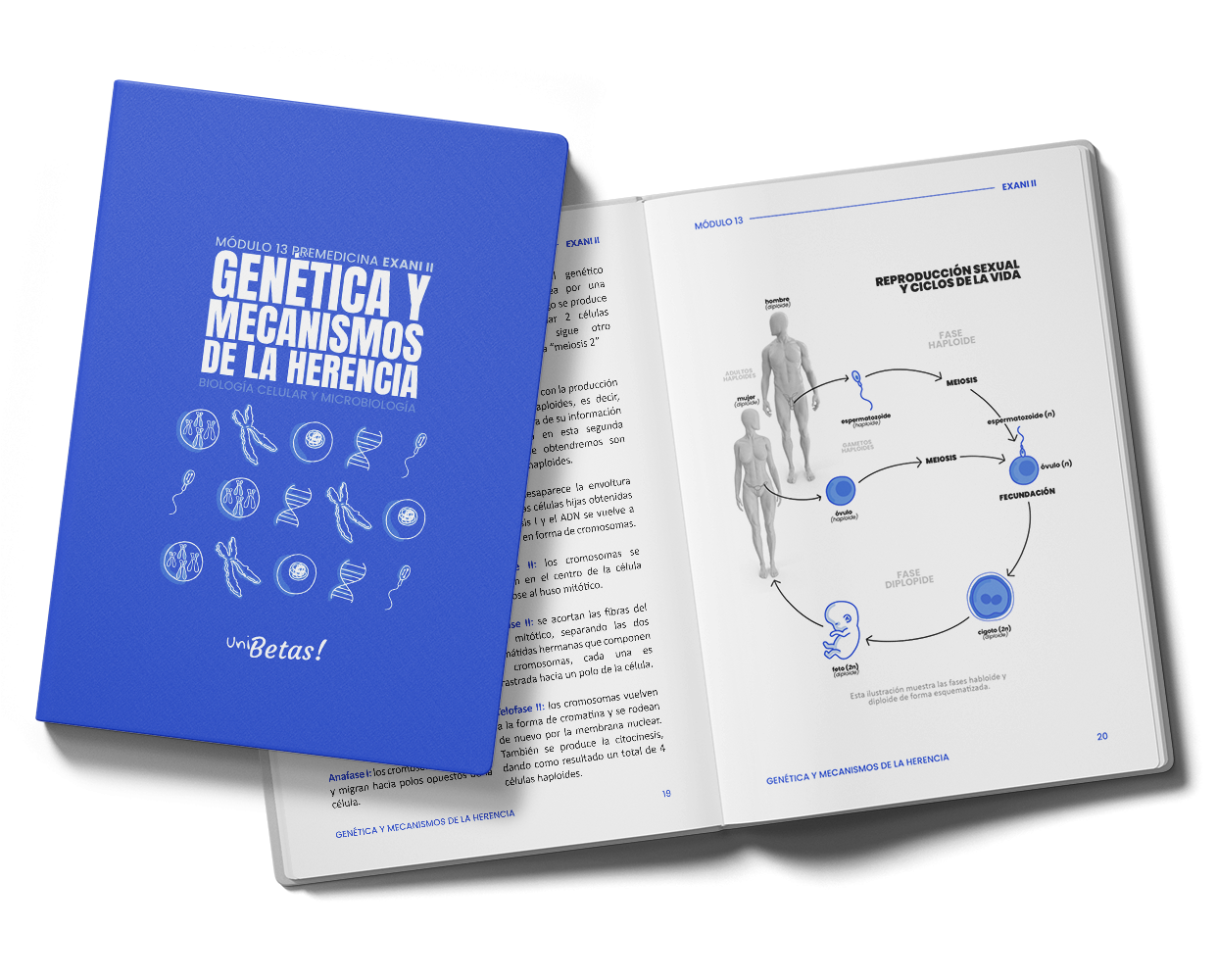 genetica y mecanismos de la herencia premedicina exani ii