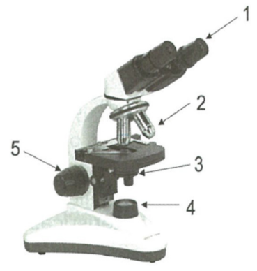 Captura de pantalla 2025 07 01 143130