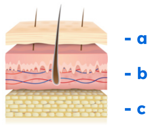 Captura de pantalla 2025 07 14 102830