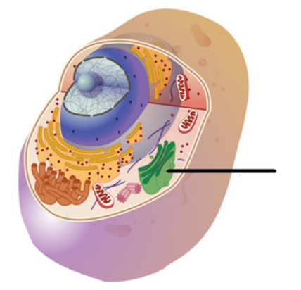 Captura de pantalla 2025 07 14 103058