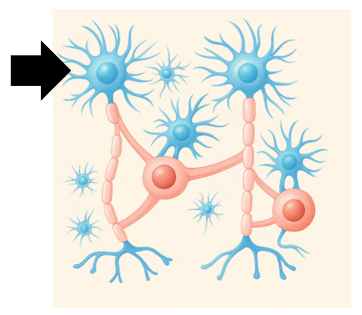 Captura de pantalla 2025 07 16 142004 Captura de pantalla 2025 07 16 142004