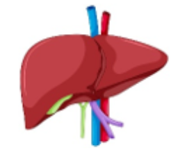 Captura de pantalla 2025 07 16 142151 Captura de pantalla 2025 07 16 142151