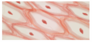 Captura de pantalla 2025 07 16 142200 Captura de pantalla 2025 07 16 142200