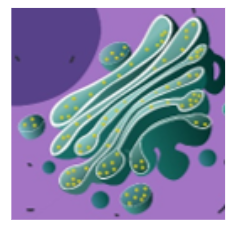 Captura de pantalla 2025 07 16 142220 Captura de pantalla 2025 07 16 142220