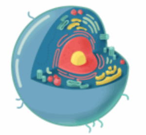 Captura de pantalla 2025 07 16 142335 Captura de pantalla 2025 07 16 142335