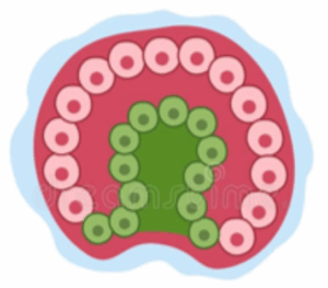 Captura de pantalla 2025 07 16 142501 Captura de pantalla 2025 07 16 142501