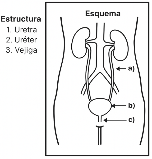 Captura de pantalla 2025 08 05 145747