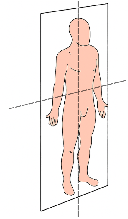 Captura de pantalla 2025 08 05 150340