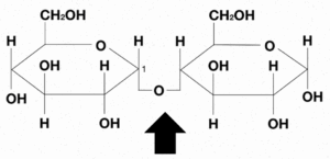 Captura de pantalla 2025 08 06 162151