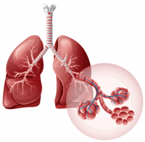 Captura de pantalla 2025 08 19 153810