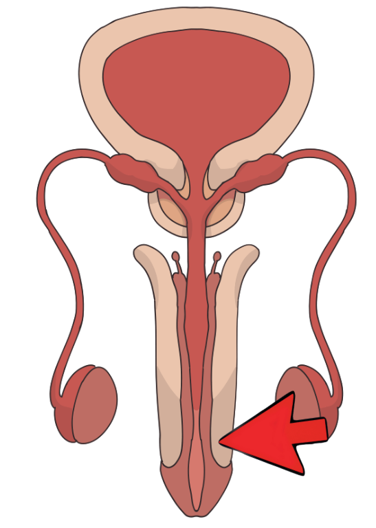 Captura de pantalla 2025 08 19 154423