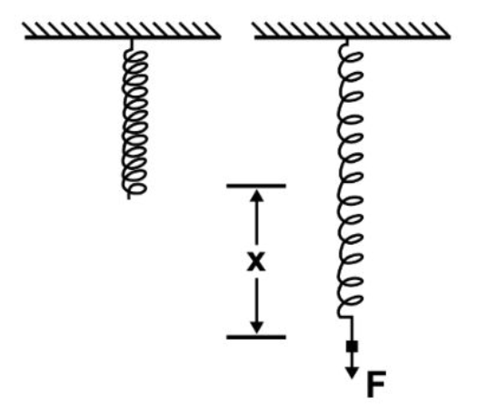 79 EVENTO UNAM 17 ENER