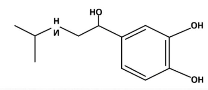 Captura de pantalla 2026 01 08 194416