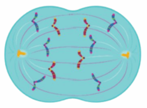 Captura de pantalla 2026 01 09 114413