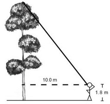 Captura de pantalla 2026 01 09 201909