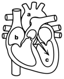 Captura de pantalla 2026 01 15 225042