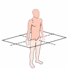 Captura de pantalla 2026 01 15 234634