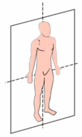 Captura de pantalla 2026 01 15 234642