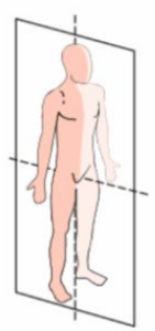 Captura de pantalla 2026 01 15 234651