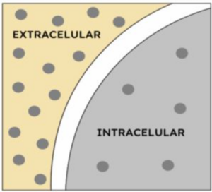 Captura de pantalla 2026 01 15 234937