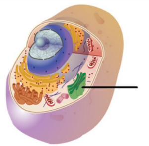 Captura de pantalla 2026 01 15 235141