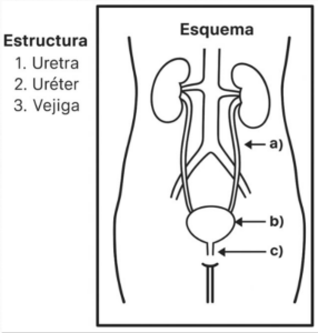 Captura de pantalla 2026 01 15 235707