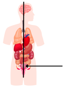 Captura de pantalla 2026 02 24 173514