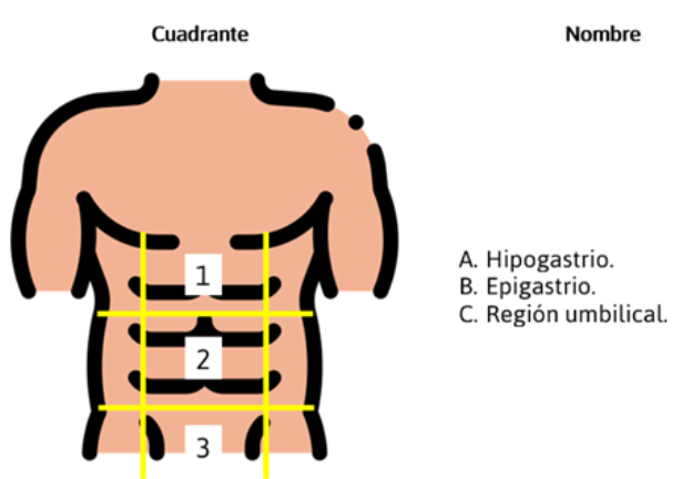 Captura de pantalla 2026 03 02 151339