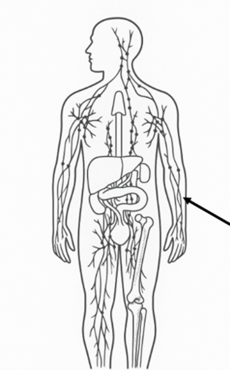 Captura de pantalla 2026 03 02 152855