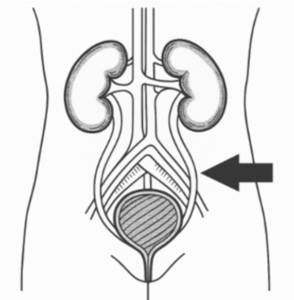 Captura de pantalla 2026 03 02 153007