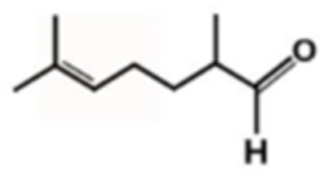 Captura de pantalla 2026 03 03 153224 Captura de pantalla 2026 03 03 153224