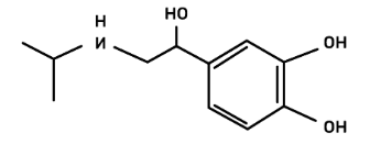 16 MAYO IPN QUÍMICA REACTIVO 26